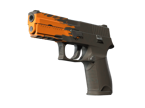 P250 | Splash image